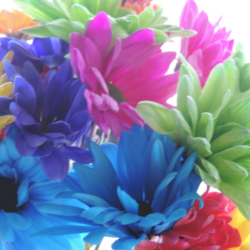 Neon Daisy Chrysanthemums Flower - Image 4